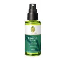 Primavera Raumspray Energiekick 50ml bio